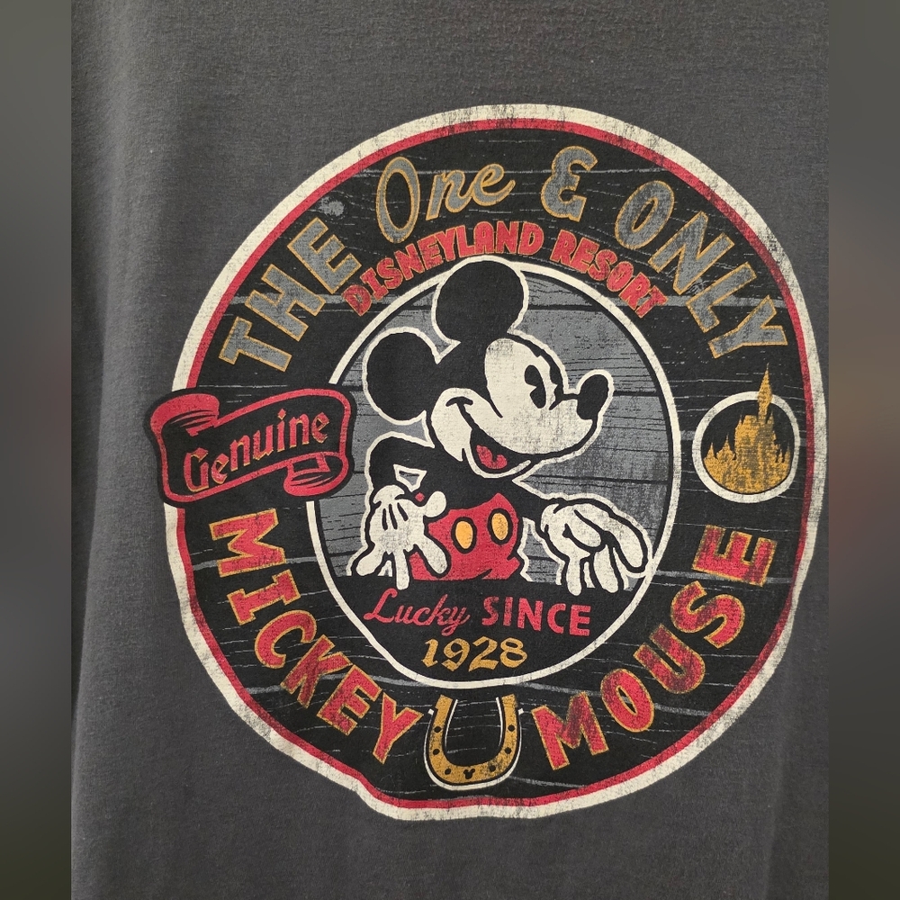 Disney Parks Authentic Original 100% cotton graphic T Size XXL UNISEX - Picture 3 of 6